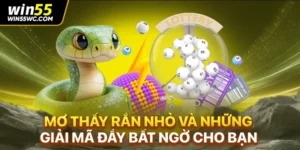 Mơ Thấy Rắn Nhỏ Và Những Giải Mã Đầy Bất Ngờ Cho Bạn
