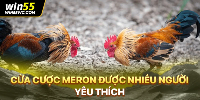 Cửa cược Meron được nhiều người yêu thích