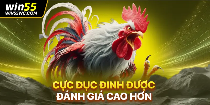 Cực đục đinh được đánh giá cao hơn