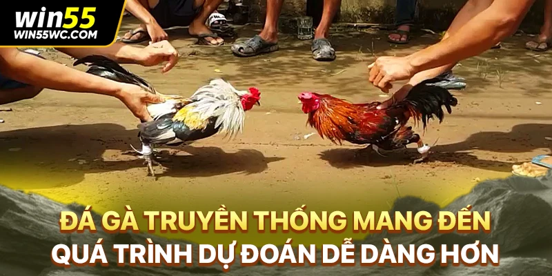 Đá gà truyền thống mang đến quá trình dự đoán dễ dàng hơn