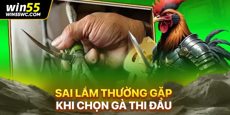 Sai lầm thường gặp khi chọn gà thi đấu