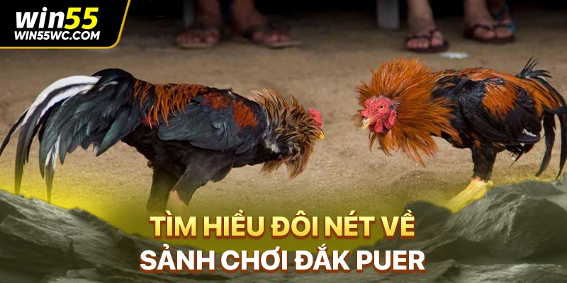 Tìm hiểu đôi nét về sảnh chơi Đắk Puer