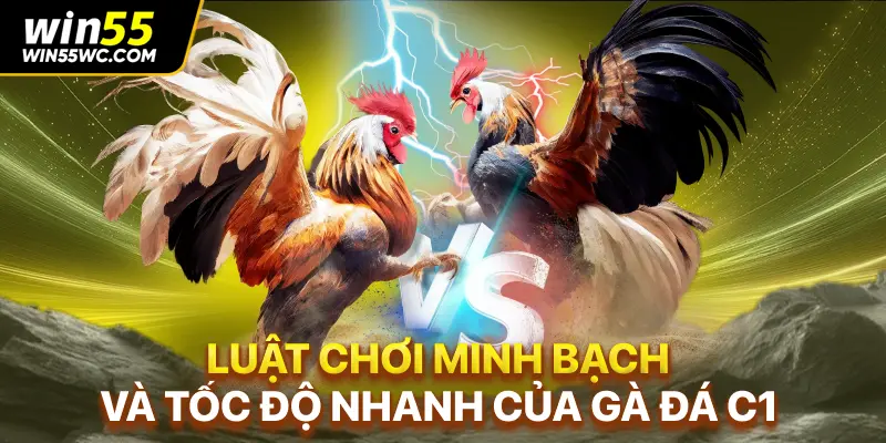 Luật chơi minh bạch và tốc độ nhanh của gà đá C1