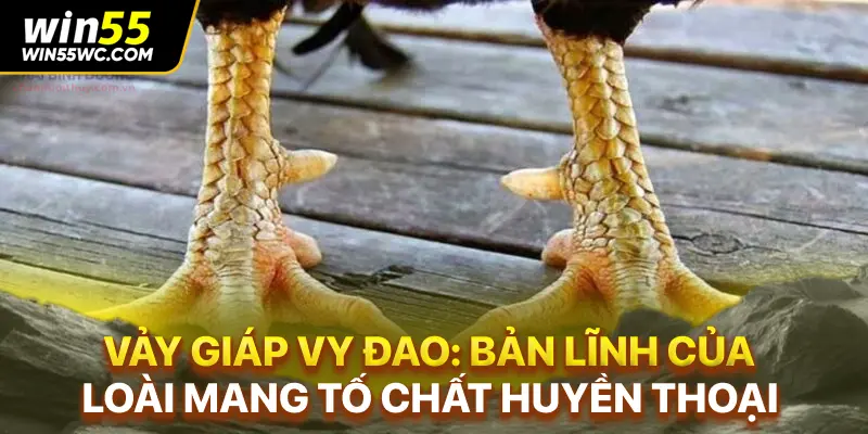 Vảy Giáp Vy Đao: Bản Lĩnh Của Loài Mang Tố Chất Huyền Thoại